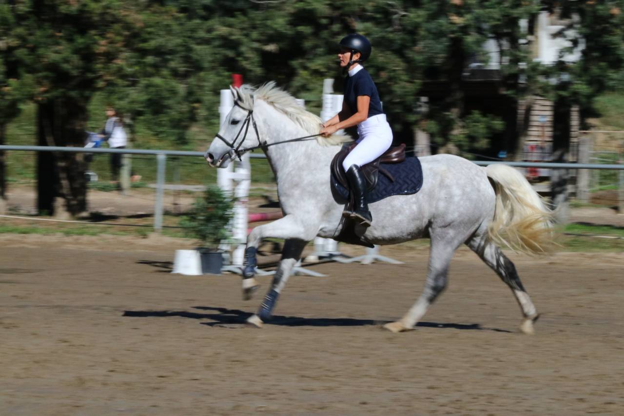 Ruin Connemara Te koop 2018 Schimmel