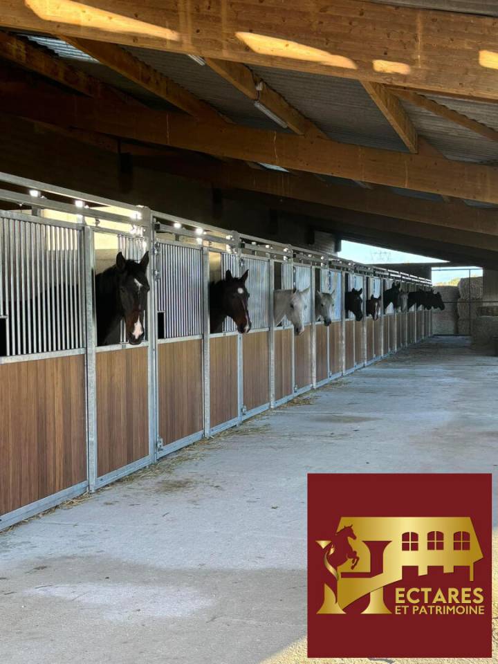 Eigenaren stal Koop Sa&ocirc;ne-et-Loire