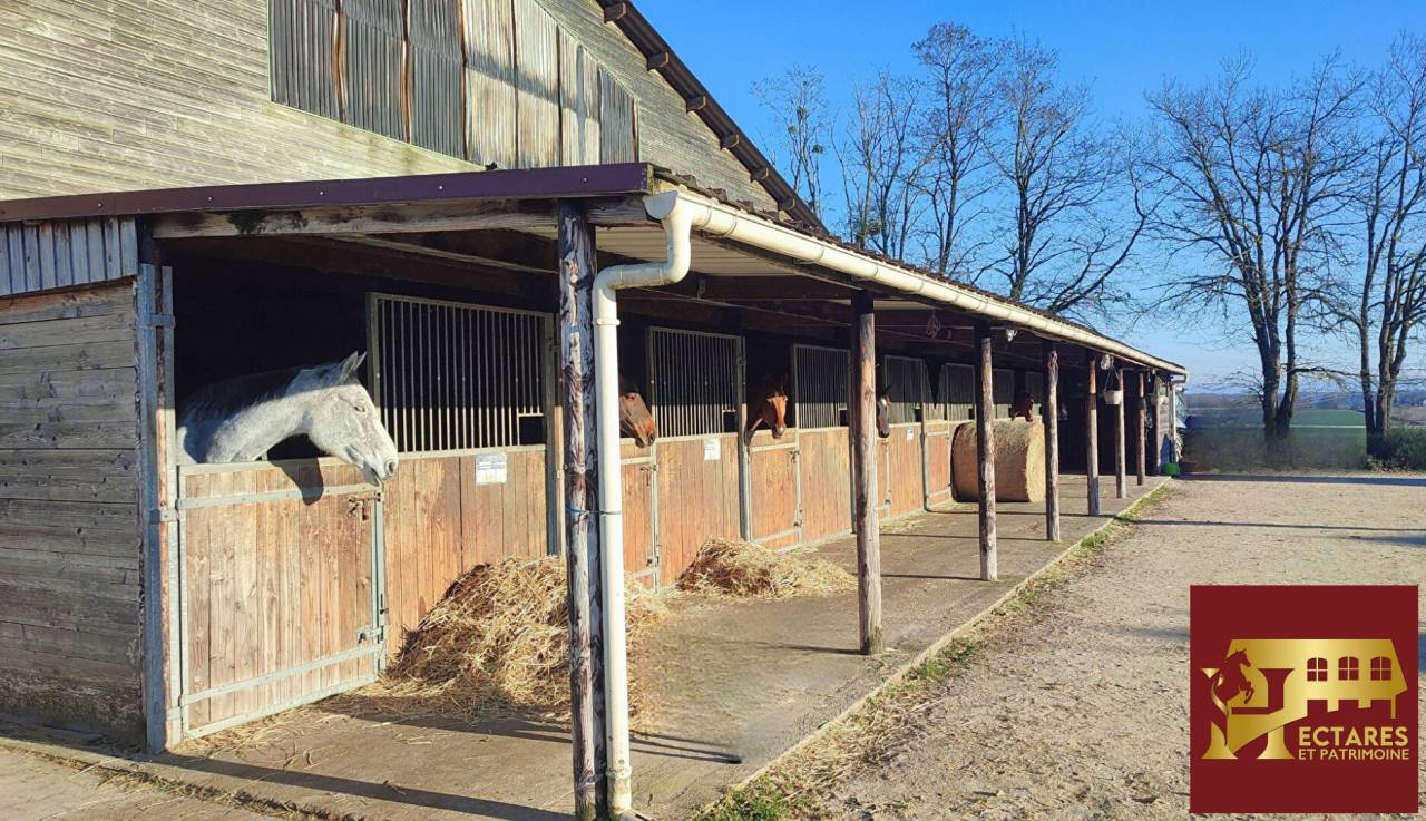 Eigenaren stal Koop Sa&ocirc;ne-et-Loire