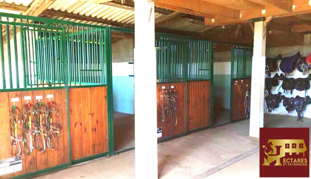 Eigenaren stal Koop Sa&ocirc;ne-et-Loire