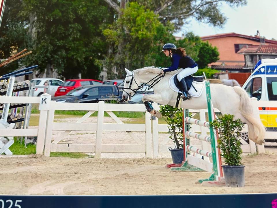 Merrie Connemara Te koop 2012 Schimmel