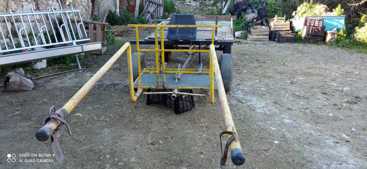 Rijtuigen - Cal&egrave;che   