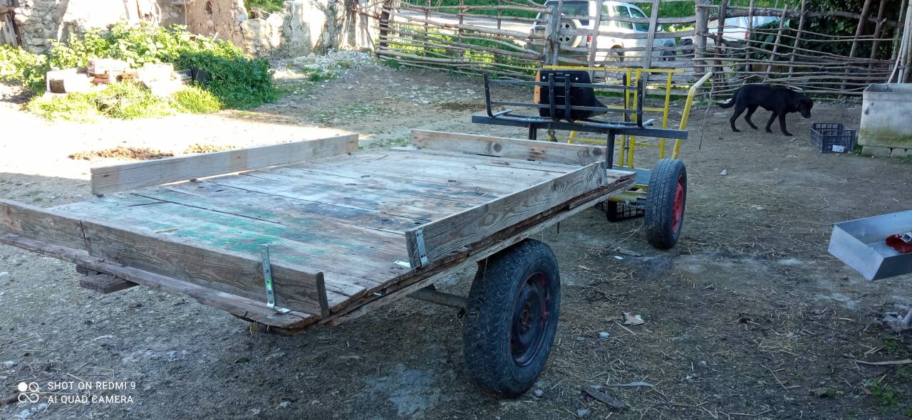 Rijtuigen - Cal&egrave;che   