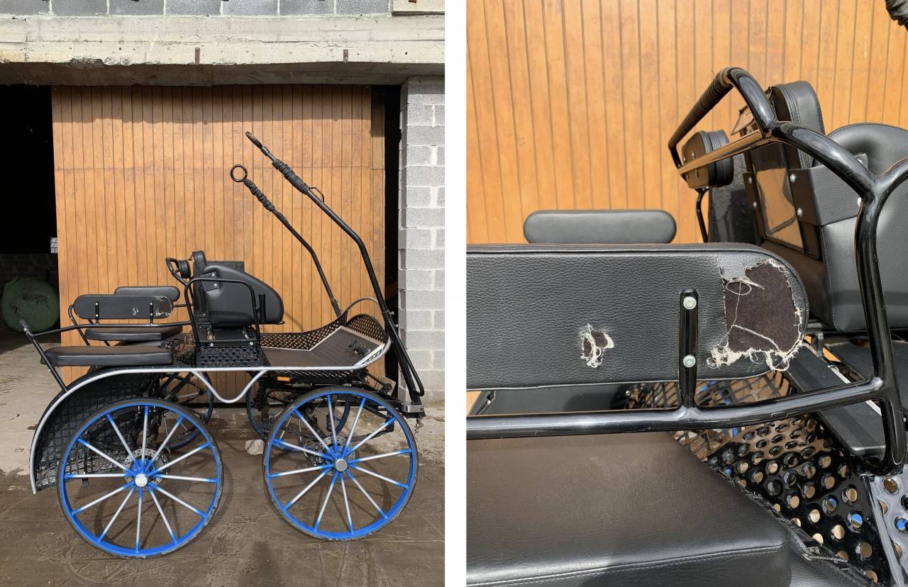 Rijtuigen - Marathon competitie - Ander merk -  