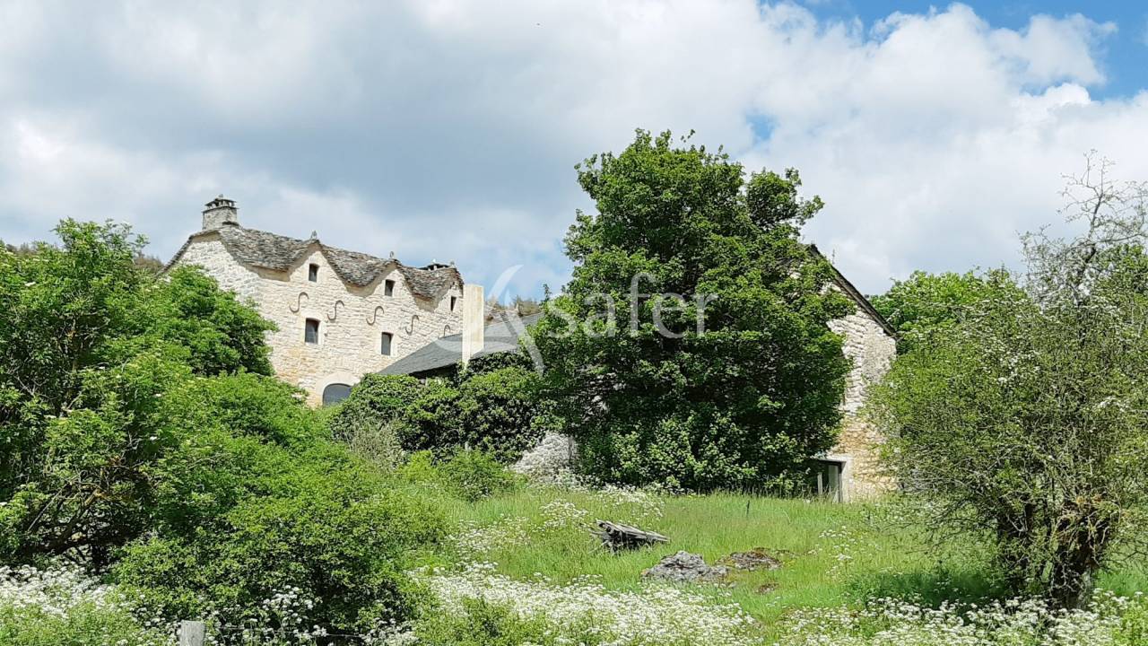Ander plattelands vastgoed Koop Loz&egrave;re