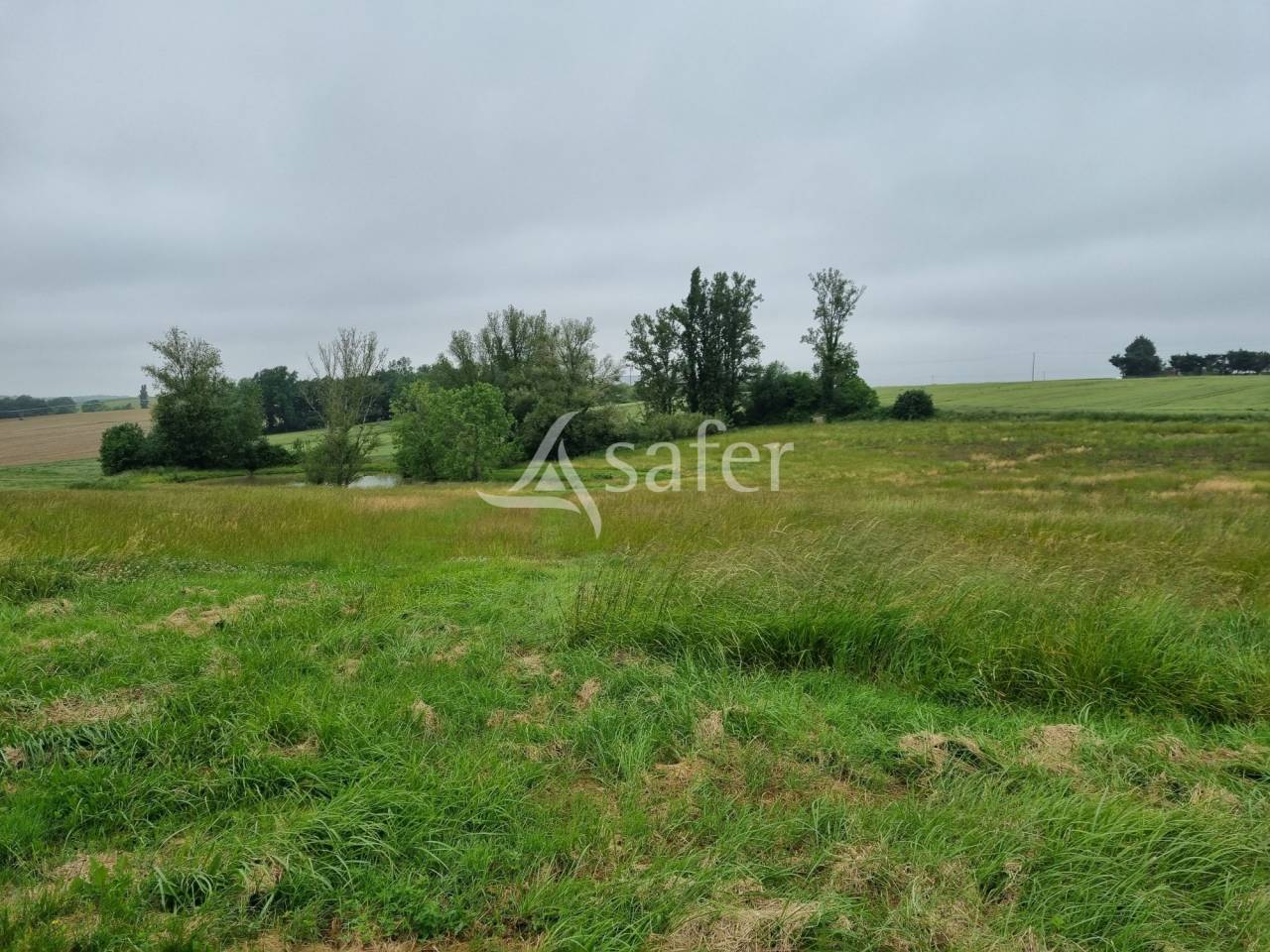 Landbouw bedrijf Koop Haute-Garonne