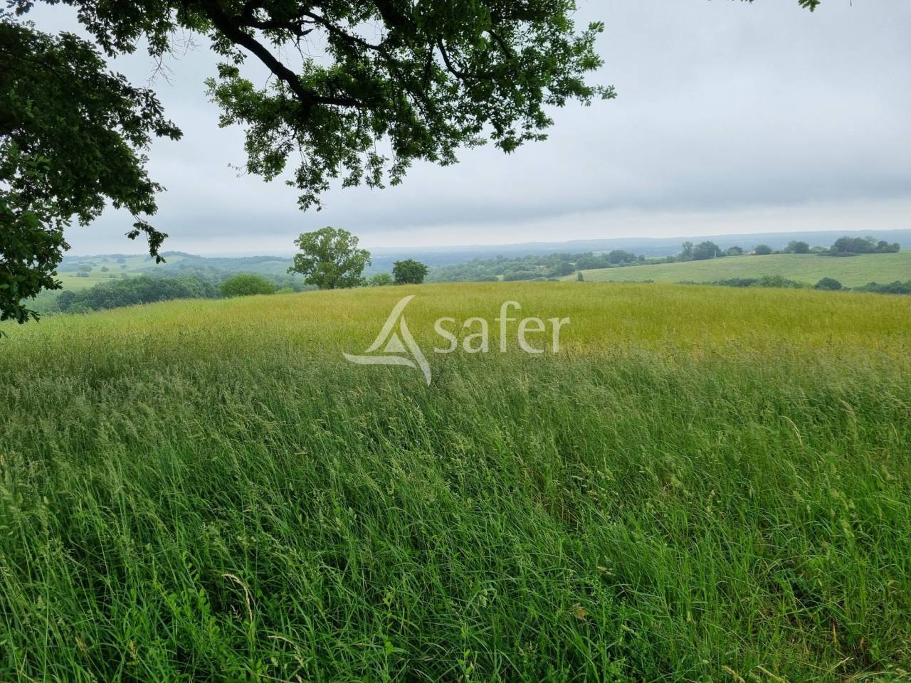 Landbouw bedrijf Koop Haute-Garonne