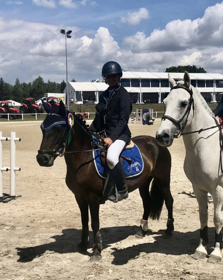 Merrie Welsh Pony (Section B) Te koop 2016 Bruin / Bai ,  Uiskey d'Or