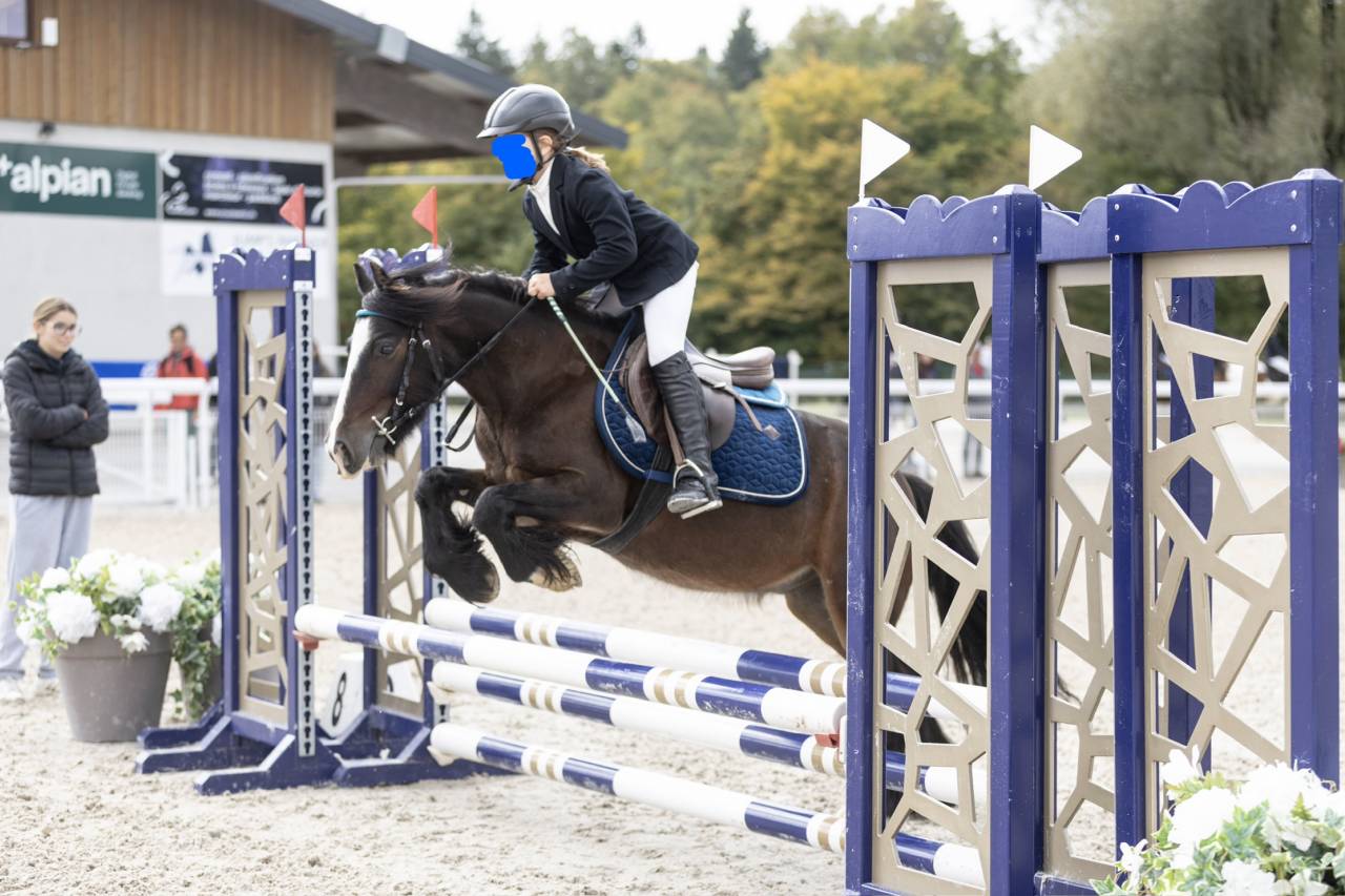 Merrie Welsh Pony (Section B) Te koop 2016 Bruin / Bai ,  Uiskey d'Or