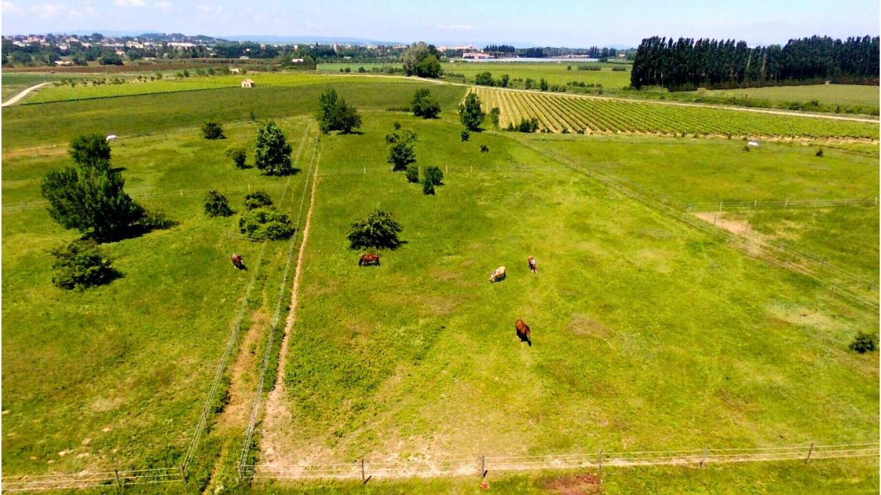 Hippisch vastgoed Koop Gard
