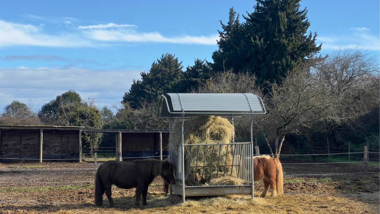 Hippisch vastgoed Koop Gard