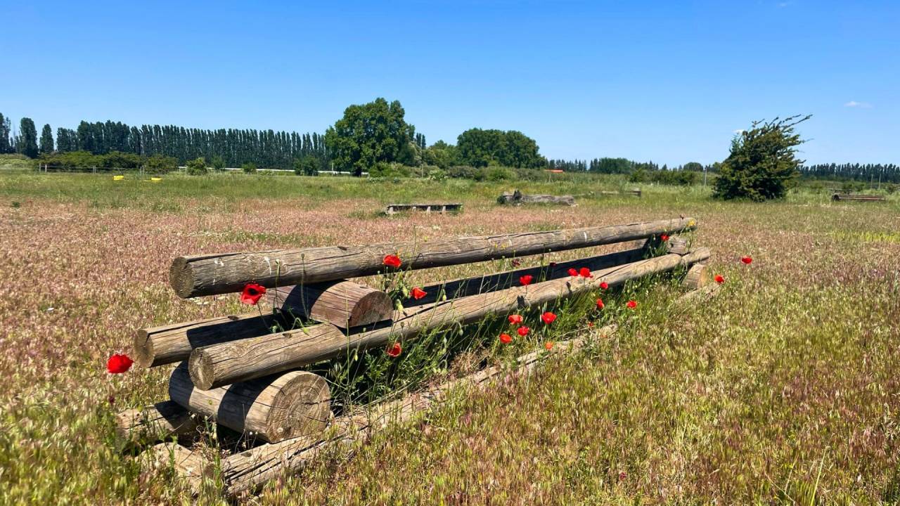 Hippisch vastgoed Koop Gard