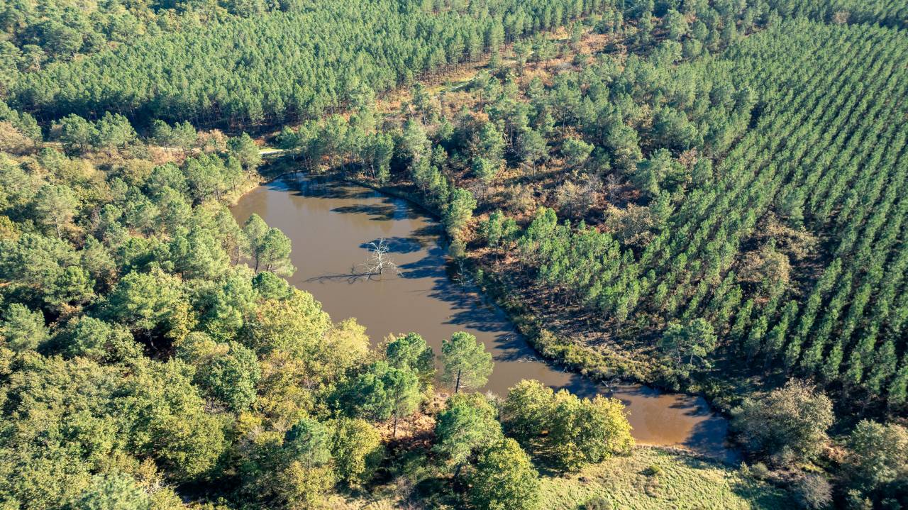 Hippisch vastgoed Koop Charente