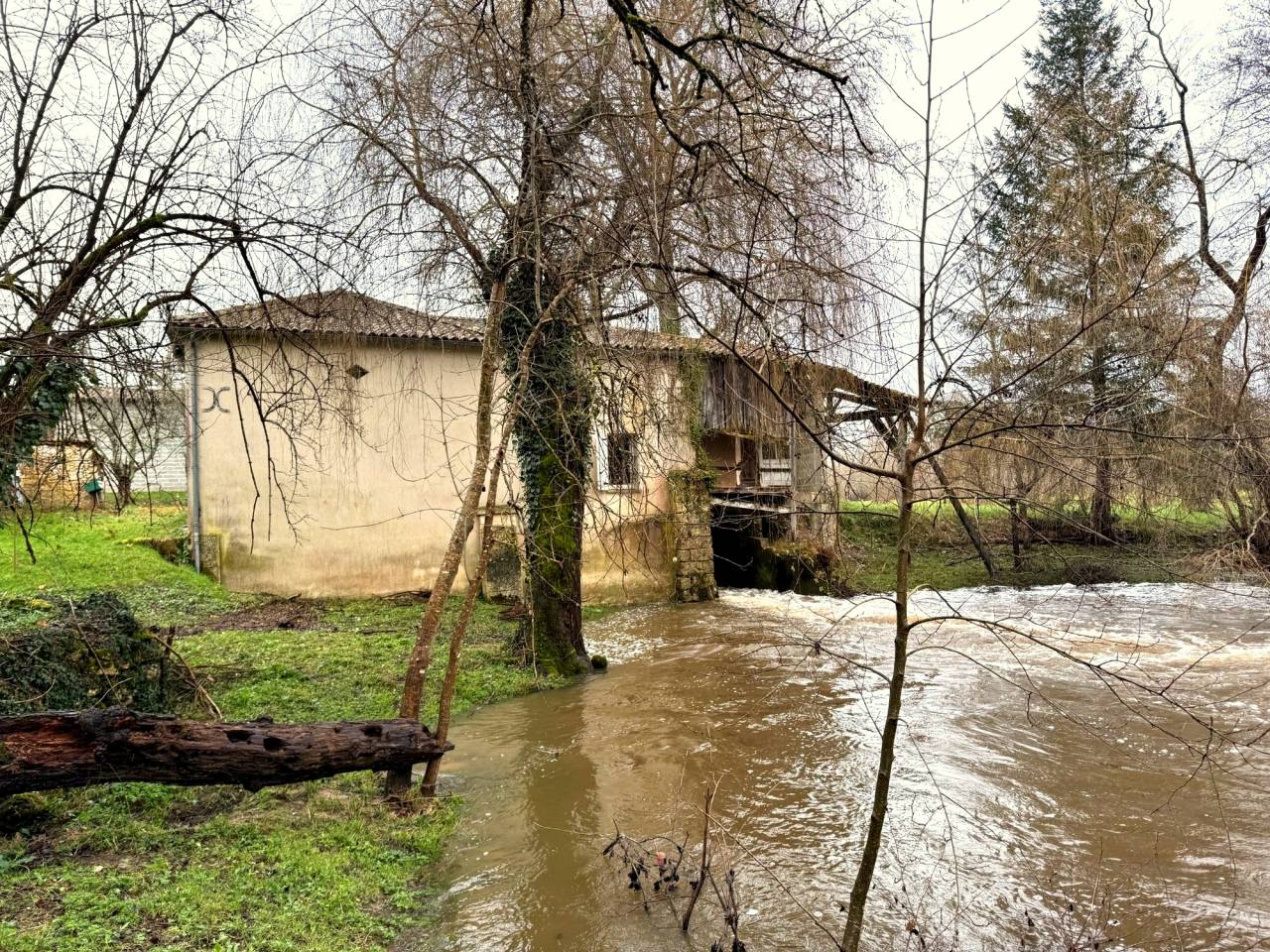 Hippisch vastgoed Koop Charente-Maritime