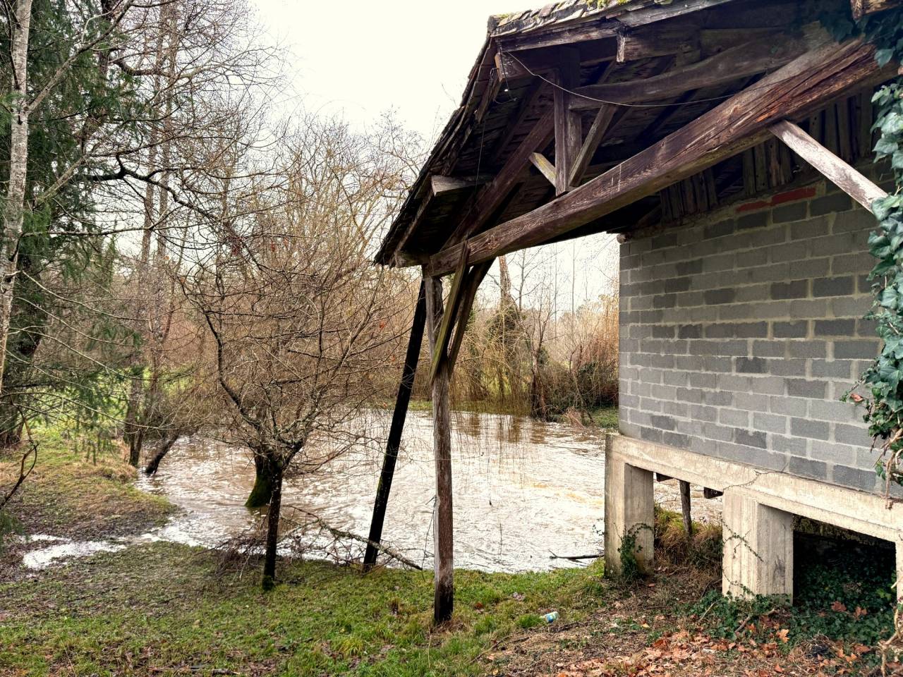 Hippisch vastgoed Koop Charente-Maritime