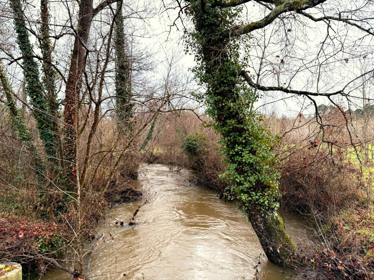 Hippisch vastgoed Koop Charente-Maritime