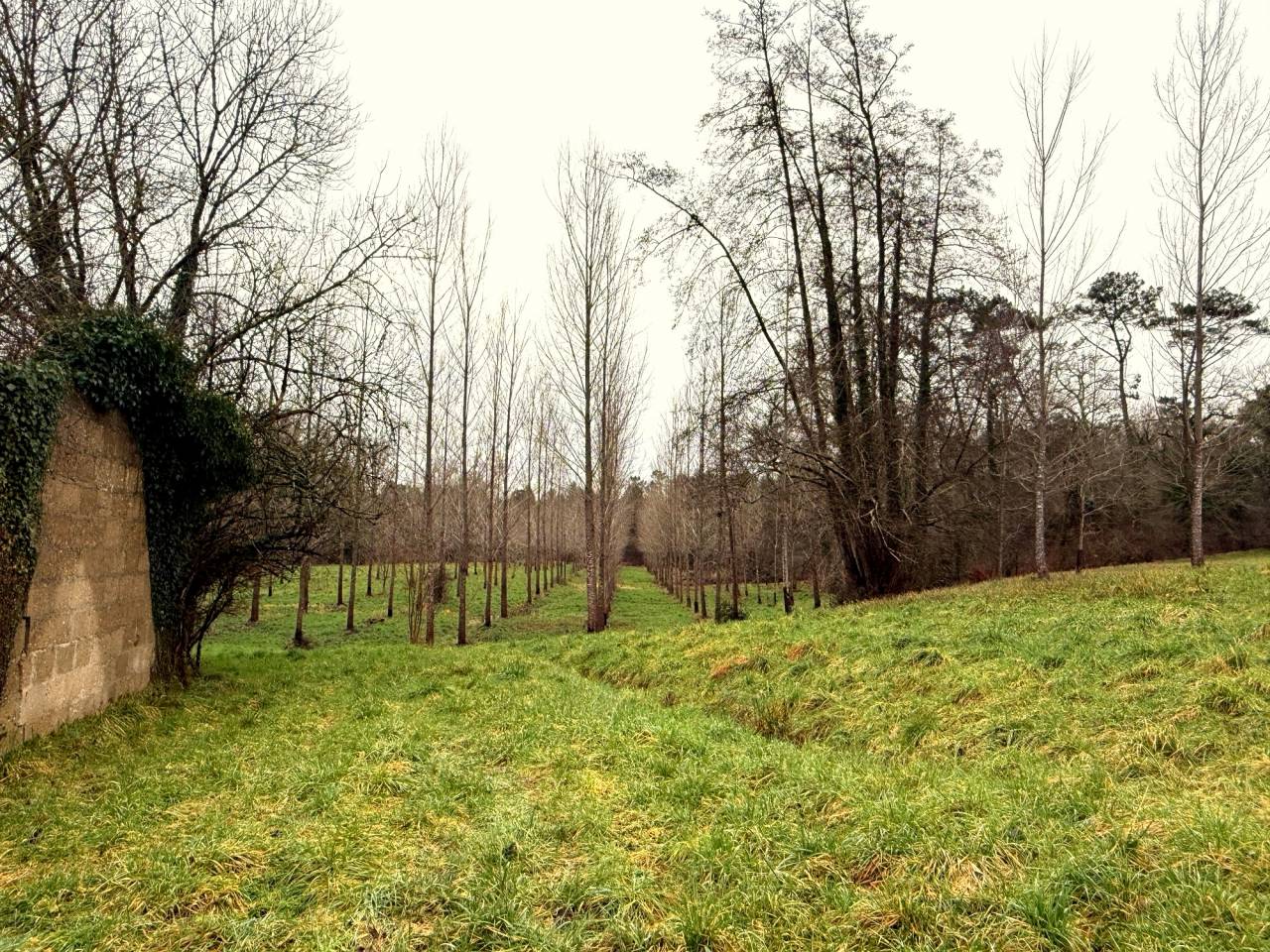 Hippisch vastgoed Koop Charente-Maritime