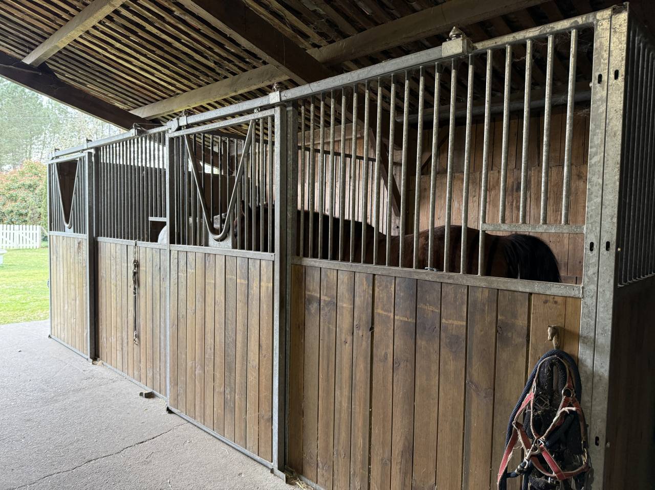 Hippisch vastgoed Koop Landes