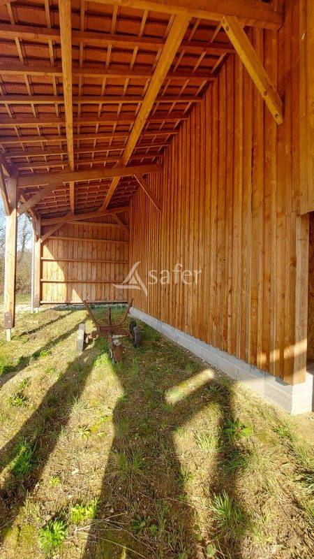 Schapen exploitatie Koop Gironde