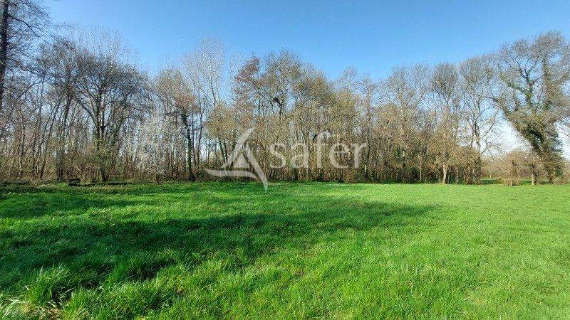 Schapen exploitatie Koop Gironde