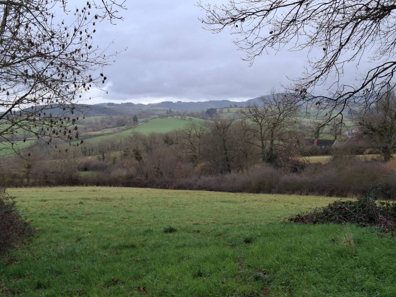 Eigenaren stal Koop Allier