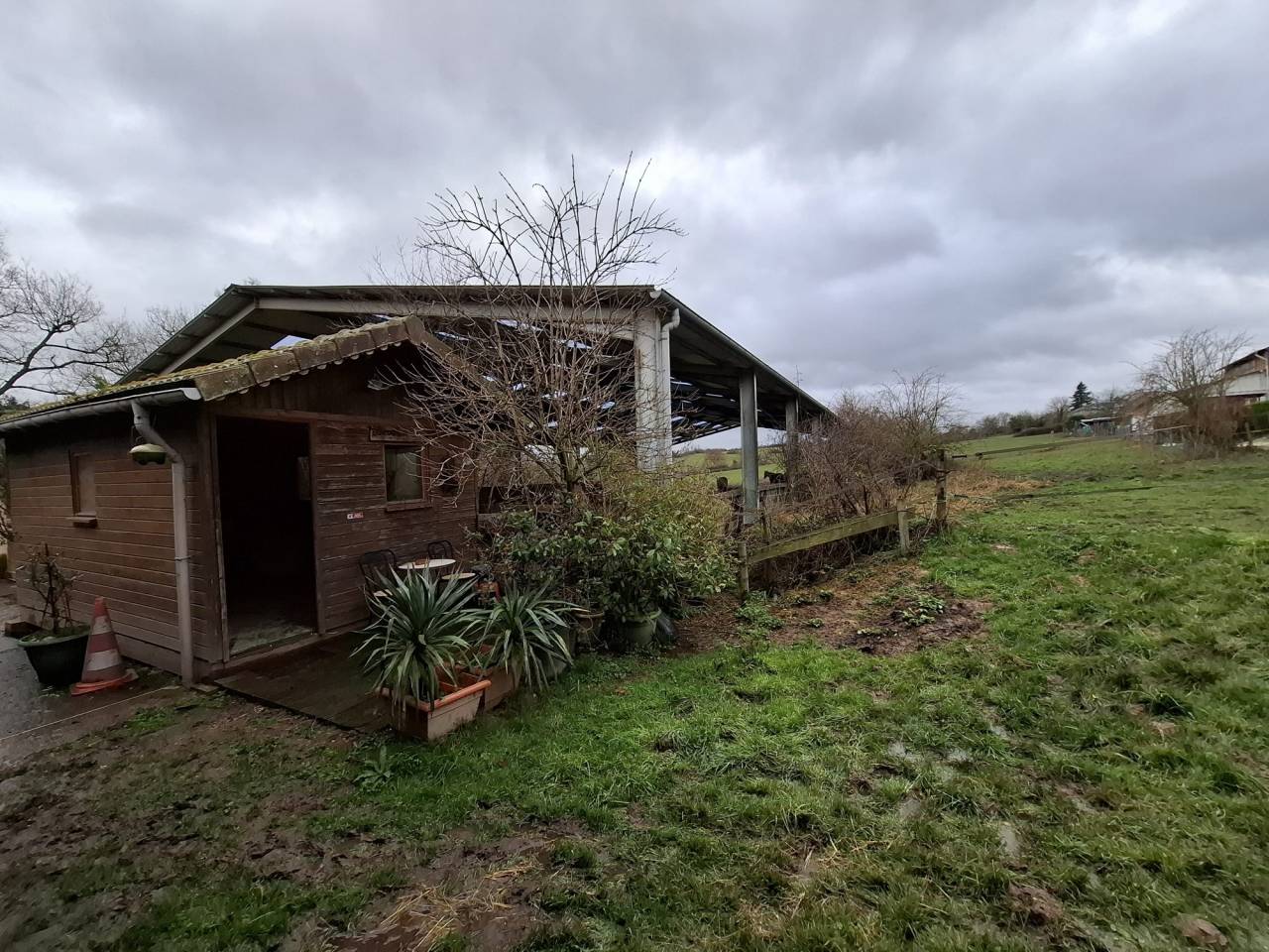 Eigenaren stal Koop Allier