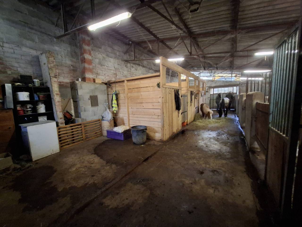 Eigenaren stal Koop Allier