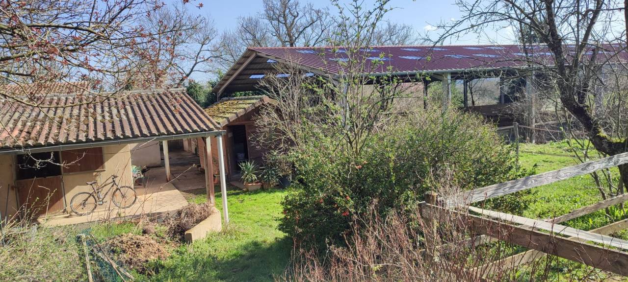 Eigenaren stal Koop Allier