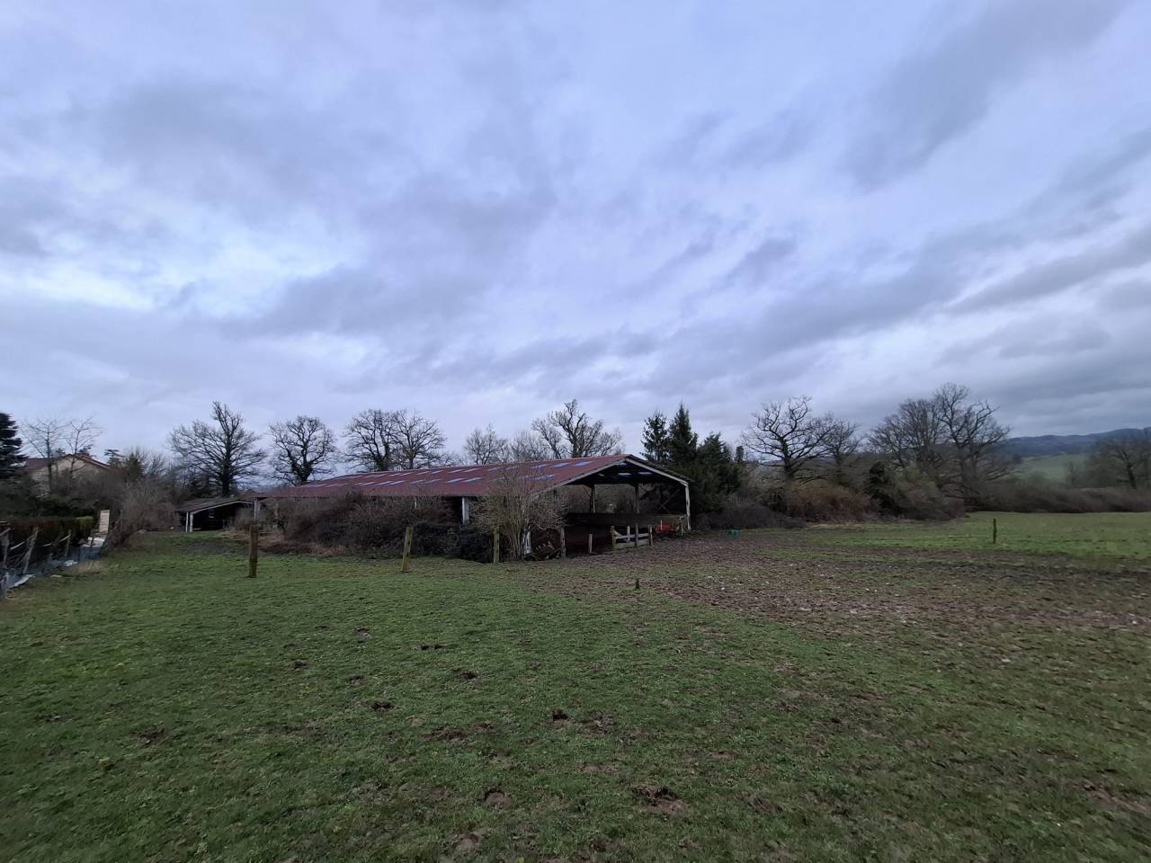 Eigenaren stal Koop Allier
