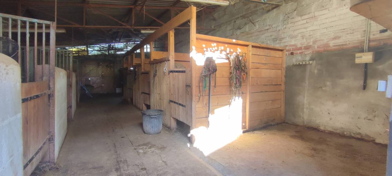 Eigenaren stal Koop Allier