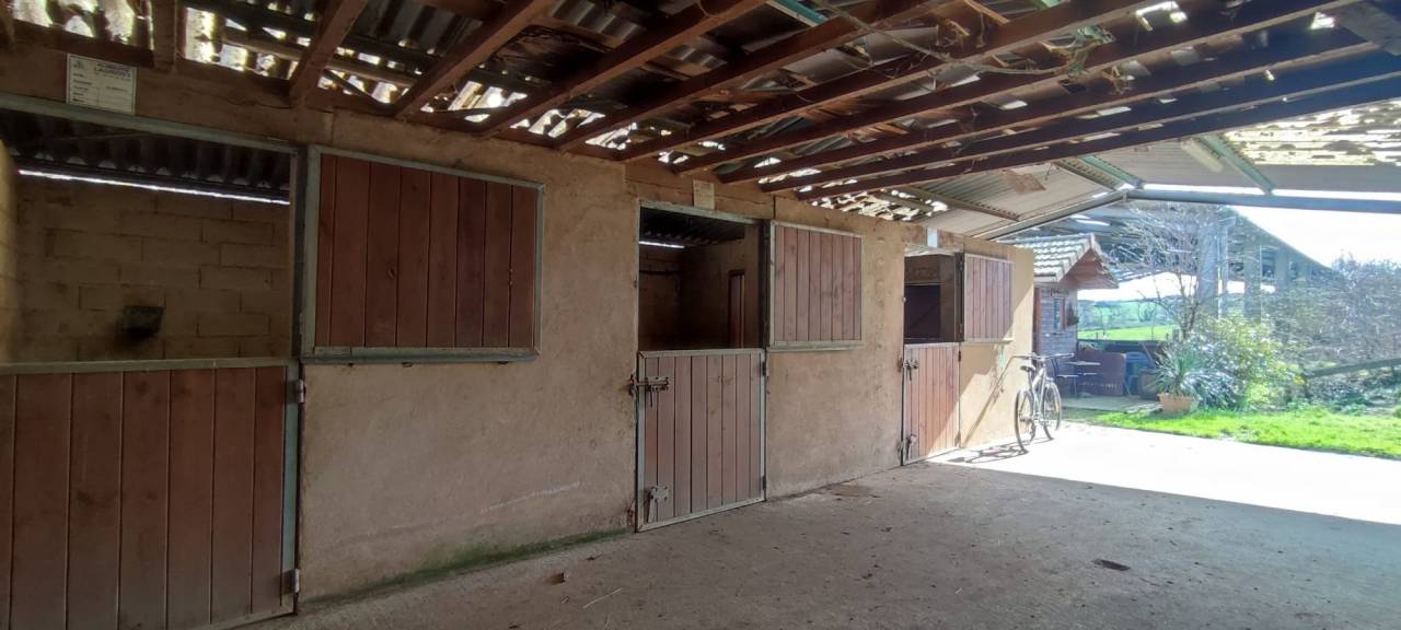 Eigenaren stal Koop Allier