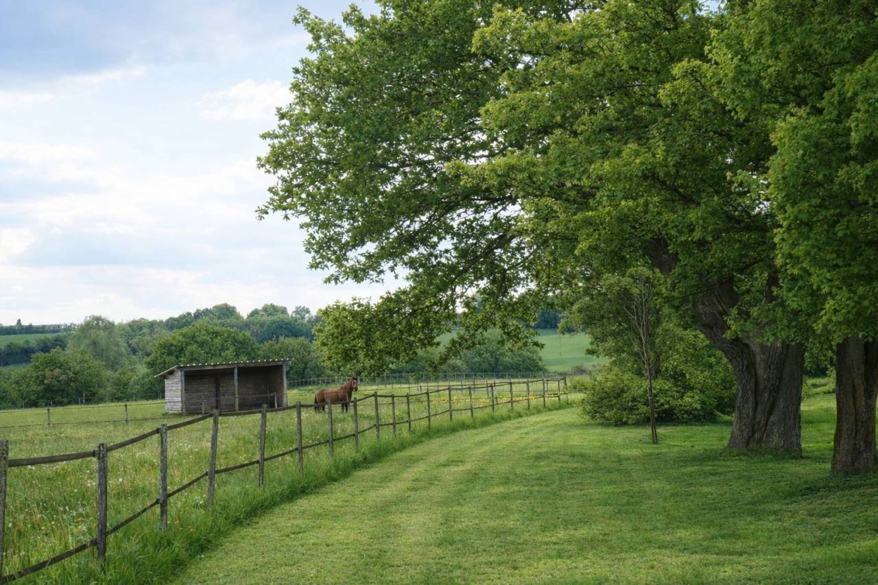 Hippisch vastgoed Koop Orne
