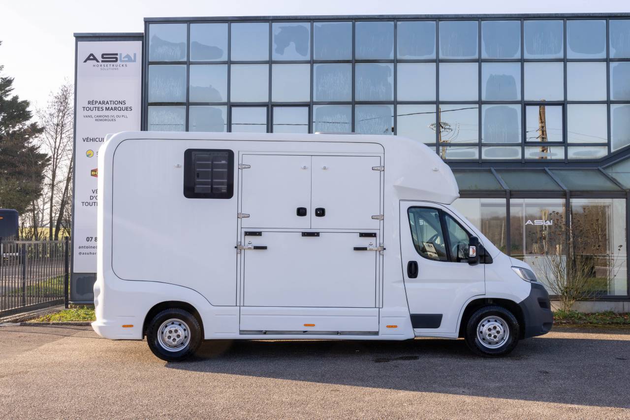 Kleine paardenvrachtwagen (B rijbewijs) Fiat  FIAT DUCATO 2016 Tweedehands