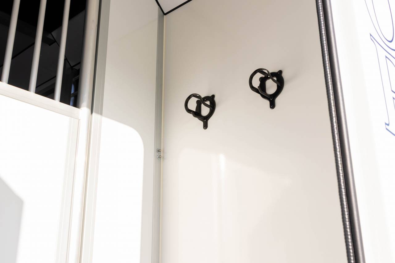 Kleine paardenvrachtwagen (B rijbewijs) Fiat  FIAT DUCATO 2016 Tweedehands