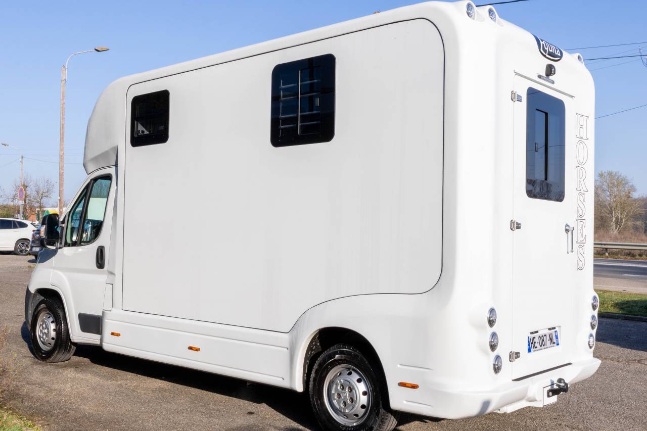 Kleine paardenvrachtwagen (B rijbewijs) Fiat  FIAT DUCATO 2016 Tweedehands