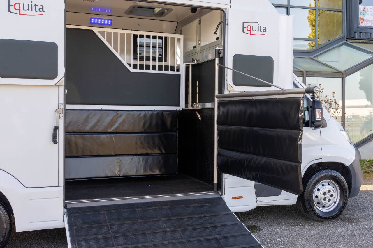 Kleine paardenvrachtwagen (B rijbewijs) Fiat  FIAT DUCATO 2016 Tweedehands