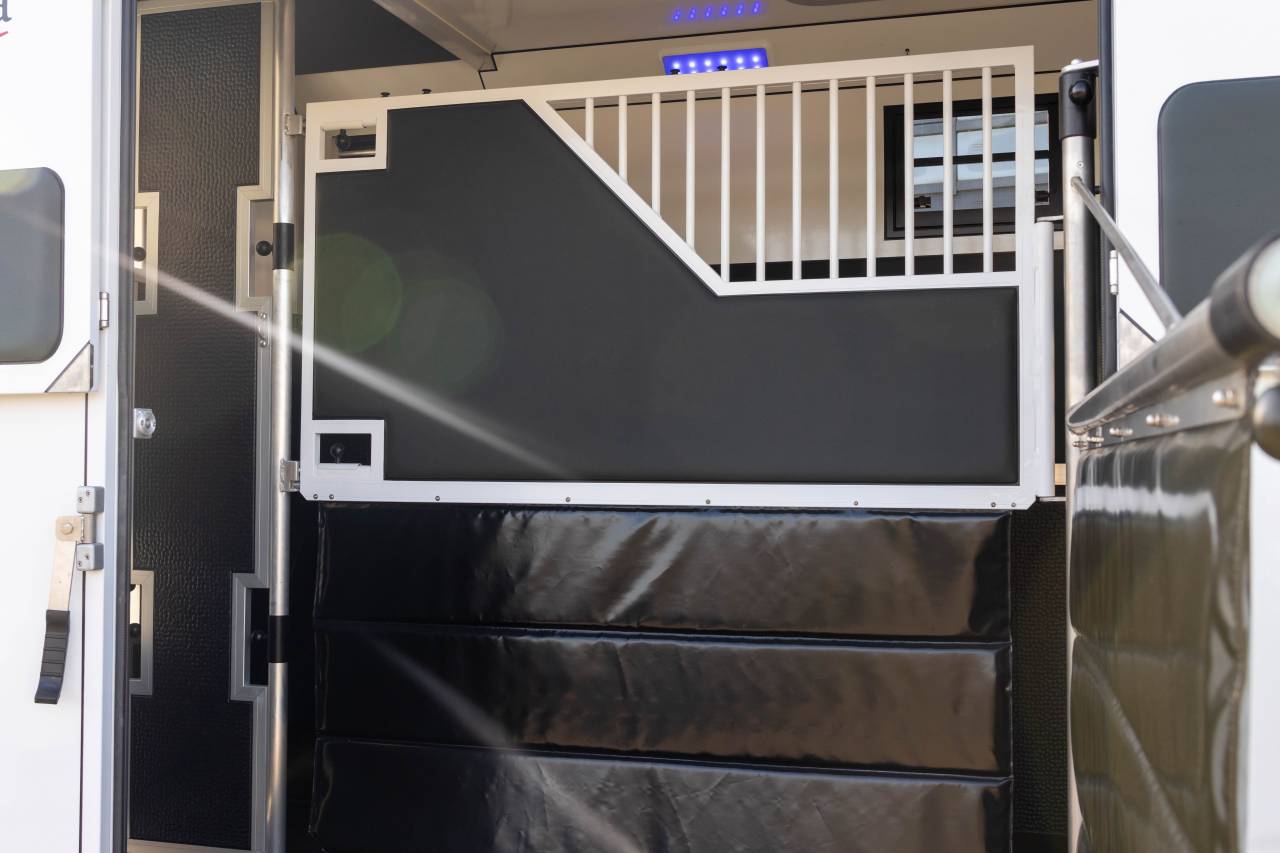 Kleine paardenvrachtwagen (B rijbewijs) Fiat  FIAT DUCATO 2016 Tweedehands