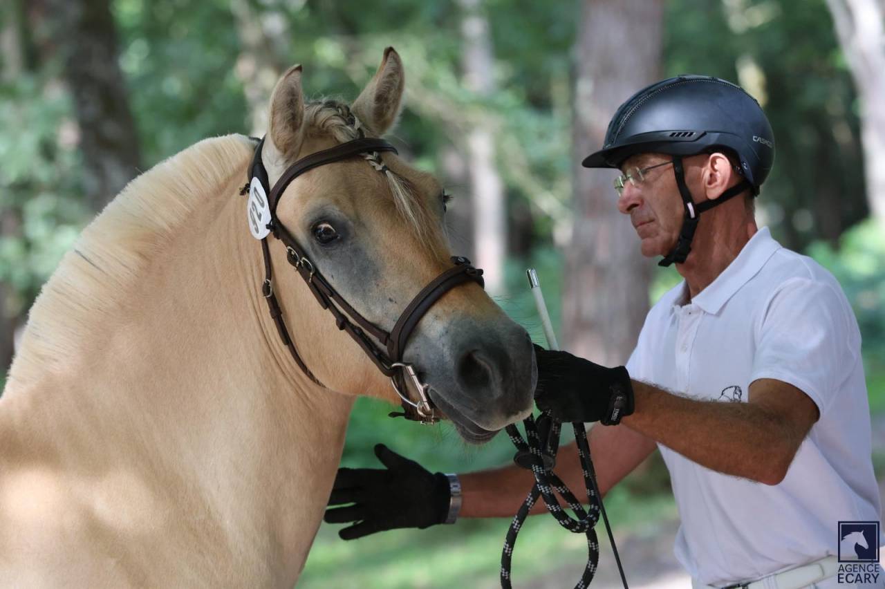 Ruin Fjord Te koop 2022 Isabel