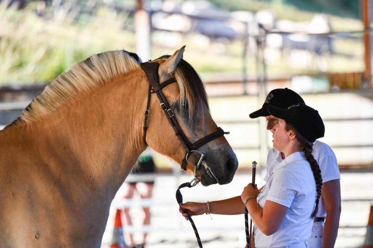 Ruin Fjord Te koop 2022 Isabel