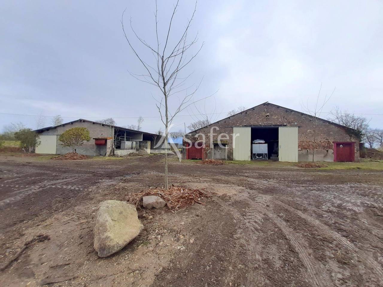 Landbouw bedrijf Koop Vienne