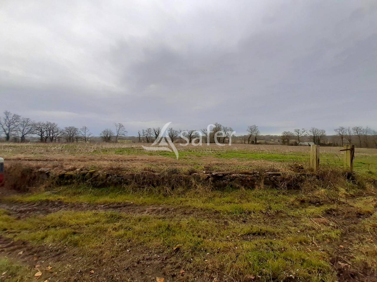 Landbouw bedrijf Koop Vienne