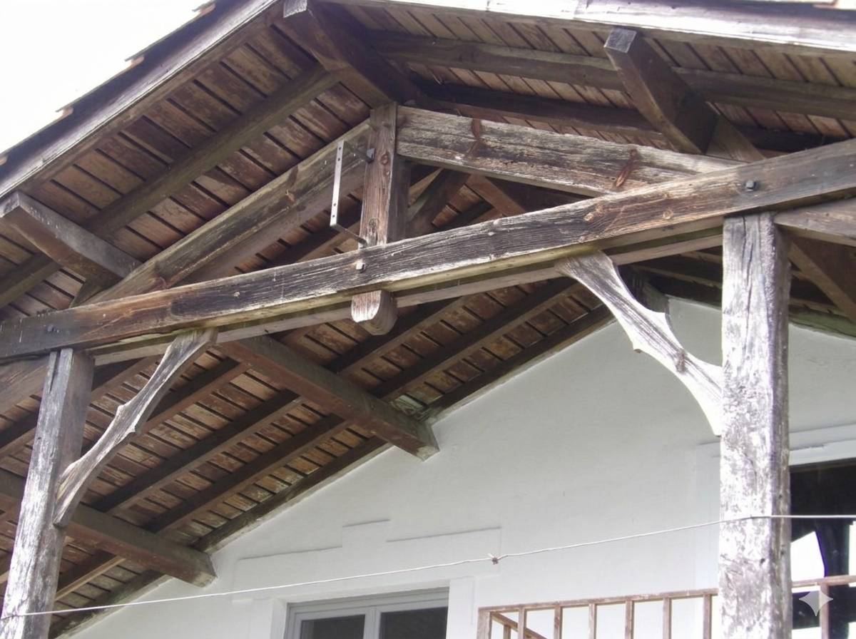 Hippisch vastgoed Koop Landes