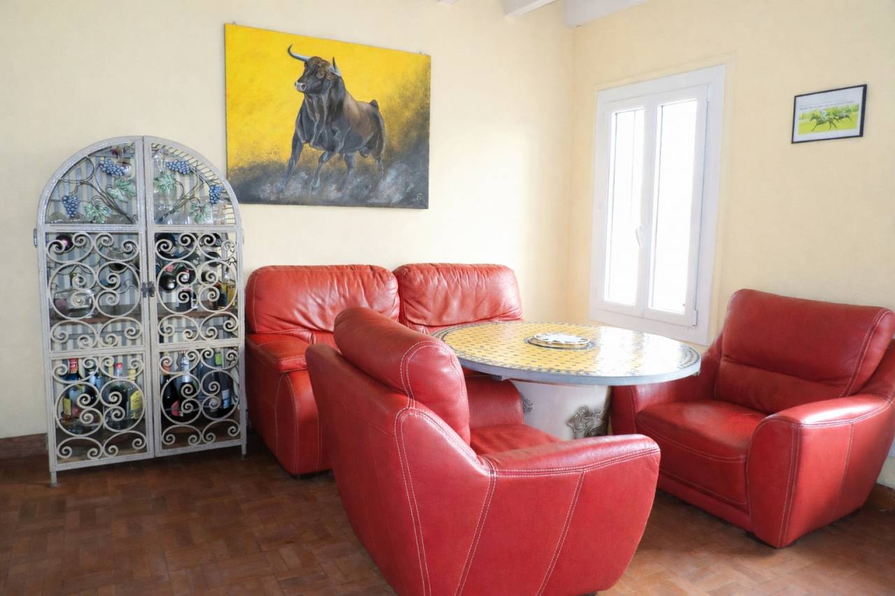 Hippisch vastgoed Koop Landes