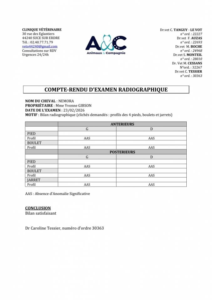 Veulen (vr) Selle Fran&ccedil;ais Te koop 2023 Donker bruin / bai ,  Casallo z