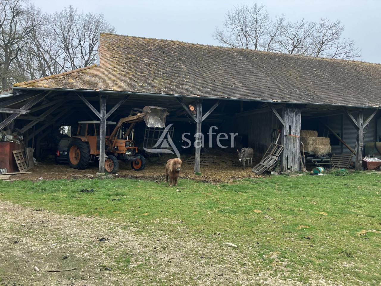 Landbouw bedrijf Koop Yonne