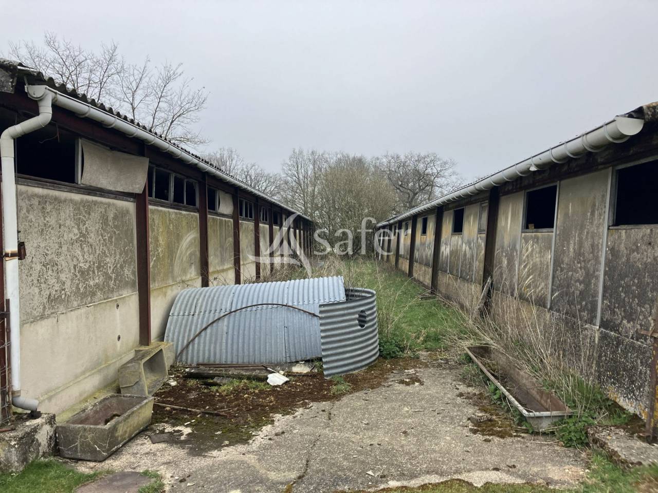 Landbouw bedrijf Koop Yonne