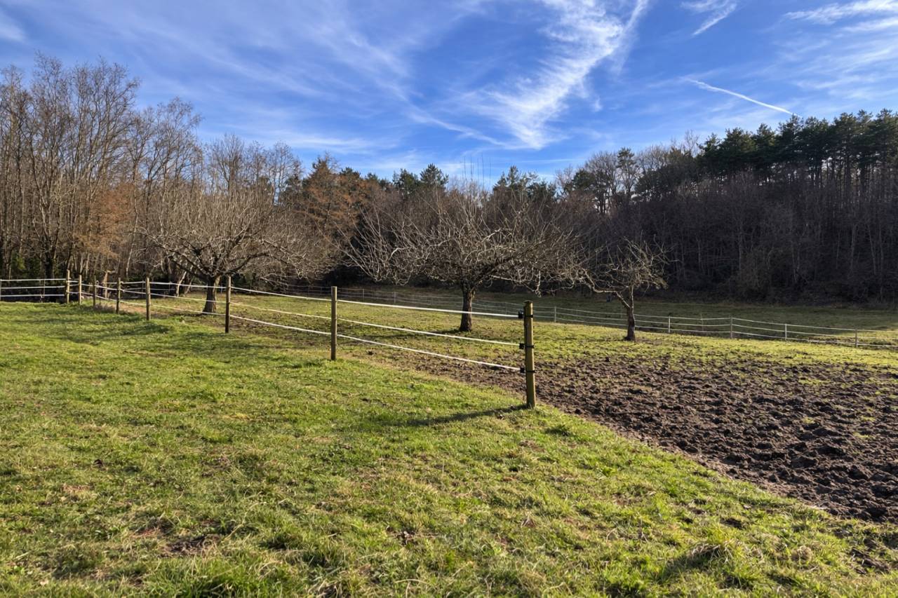 Hippisch vastgoed Koop Corr&egrave;ze