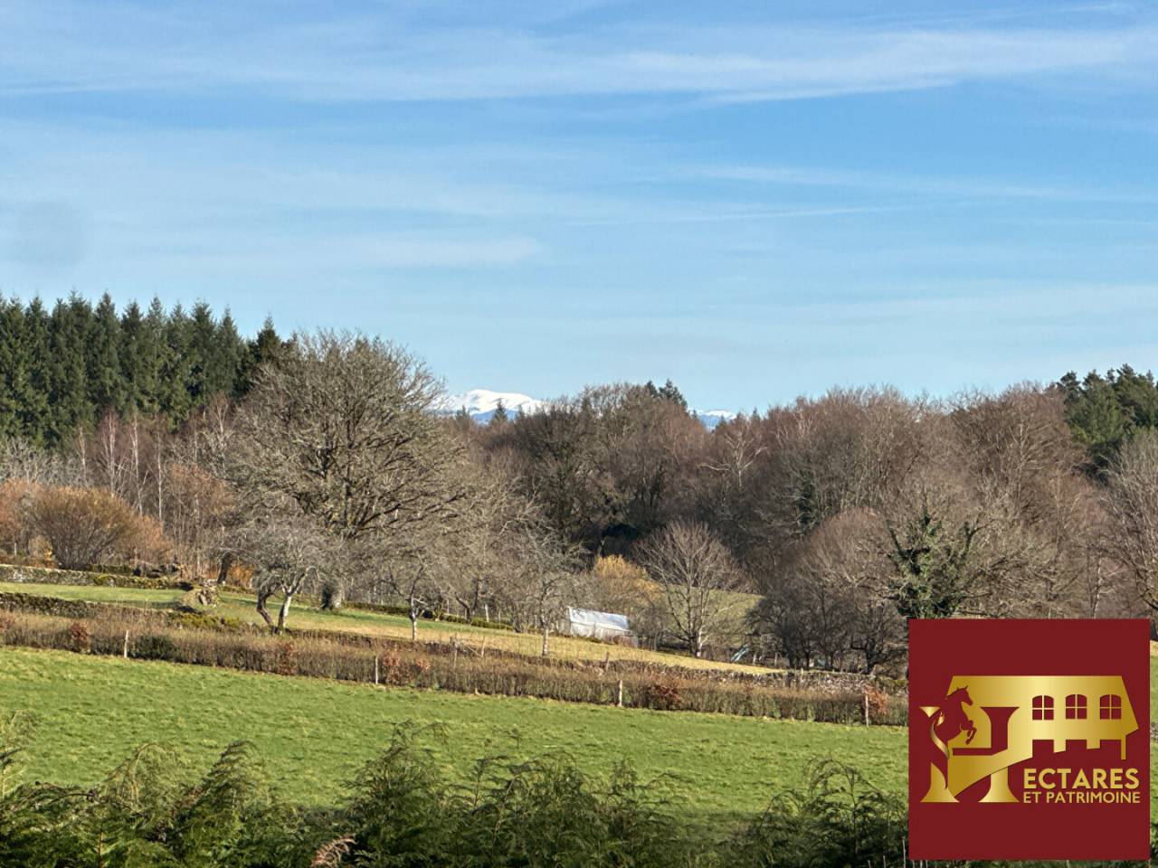 Hippisch vastgoed Koop Corr&egrave;ze