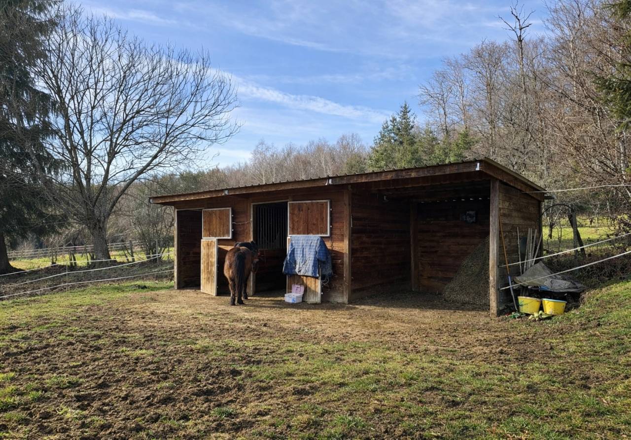 Hippisch vastgoed Koop Corr&egrave;ze