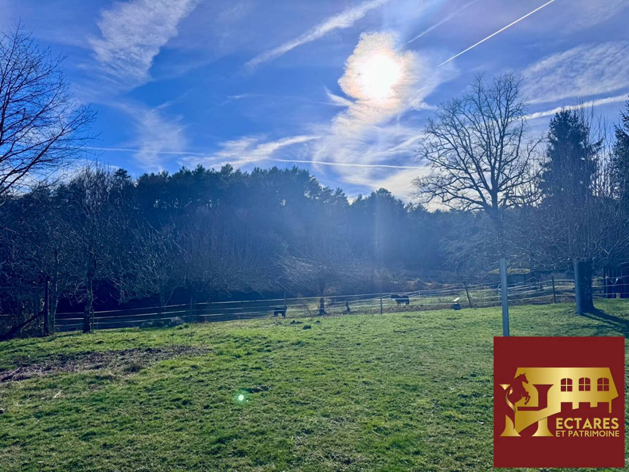 Hippisch vastgoed Koop Corr&egrave;ze